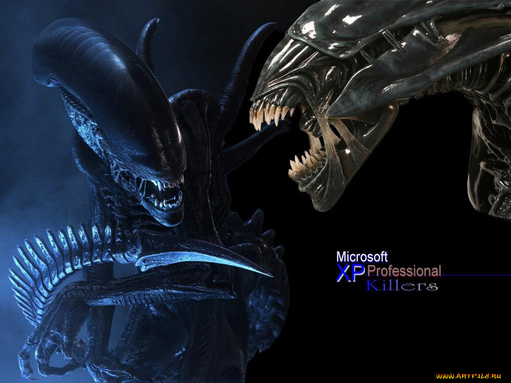 , windows, xp